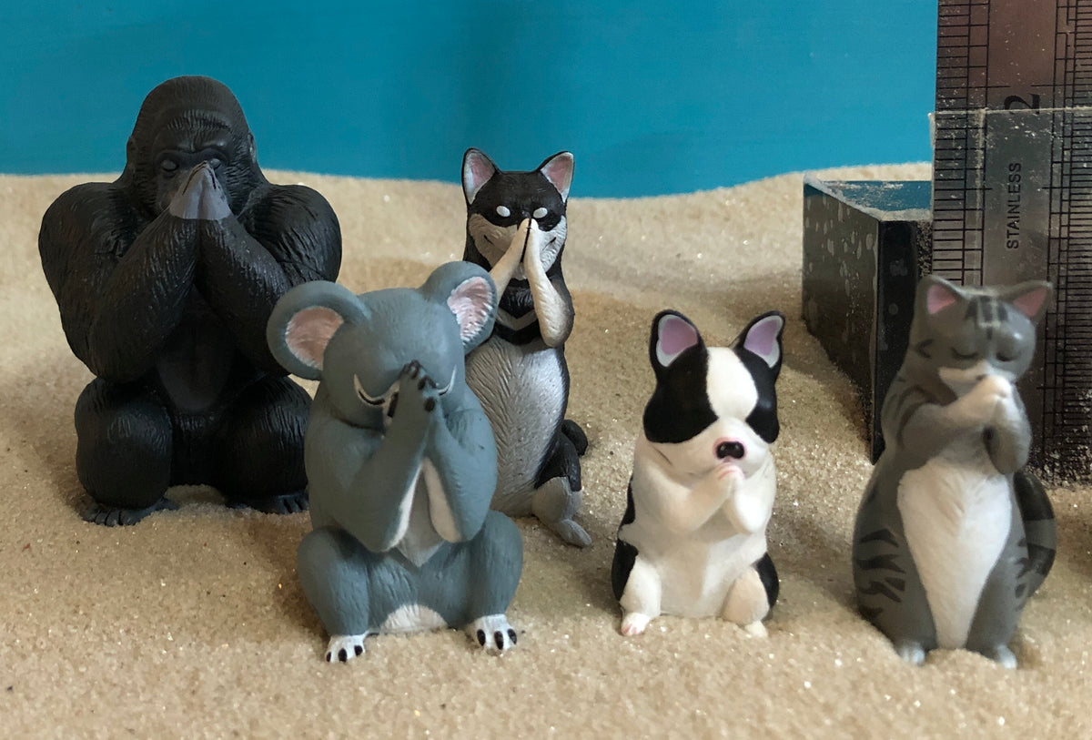 ANI - 00004 Series - "Gassho" bowing/praying animals